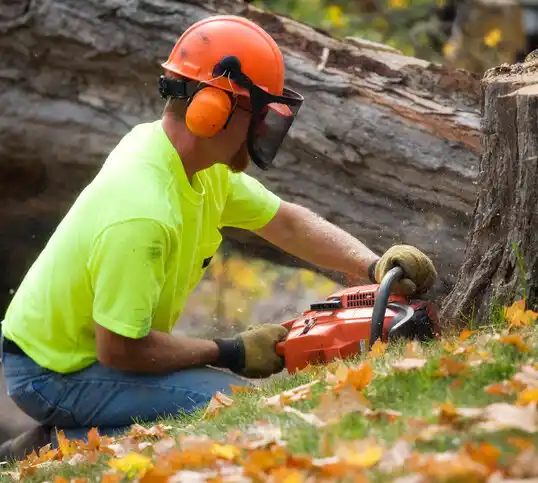 tree services Gallatin